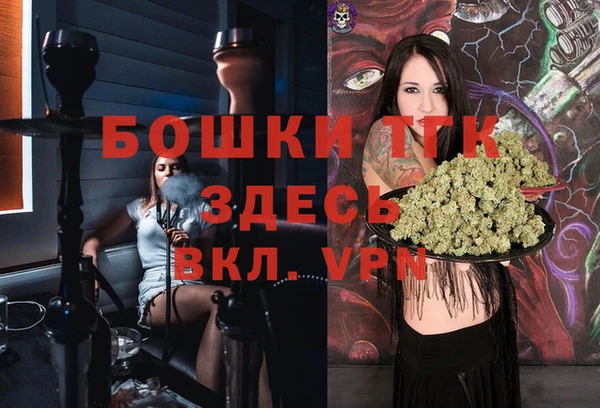 трава Карпинск