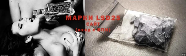 шишки Каменногорск