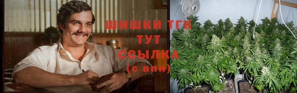 спиды Касимов