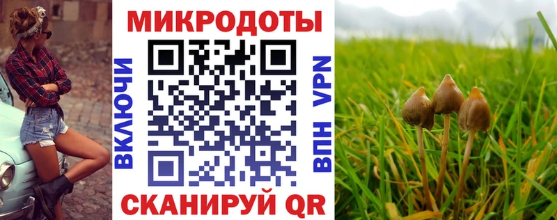 Псилоцибиновые грибы Cubensis  Альметьевск 